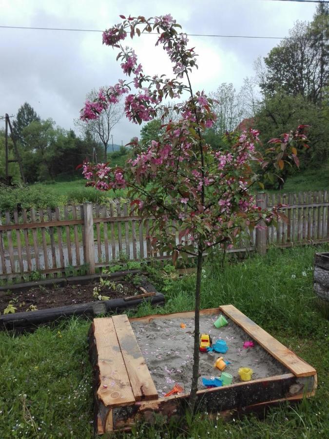 Pod Bieszczadem Villa Jasliska Екстериор снимка